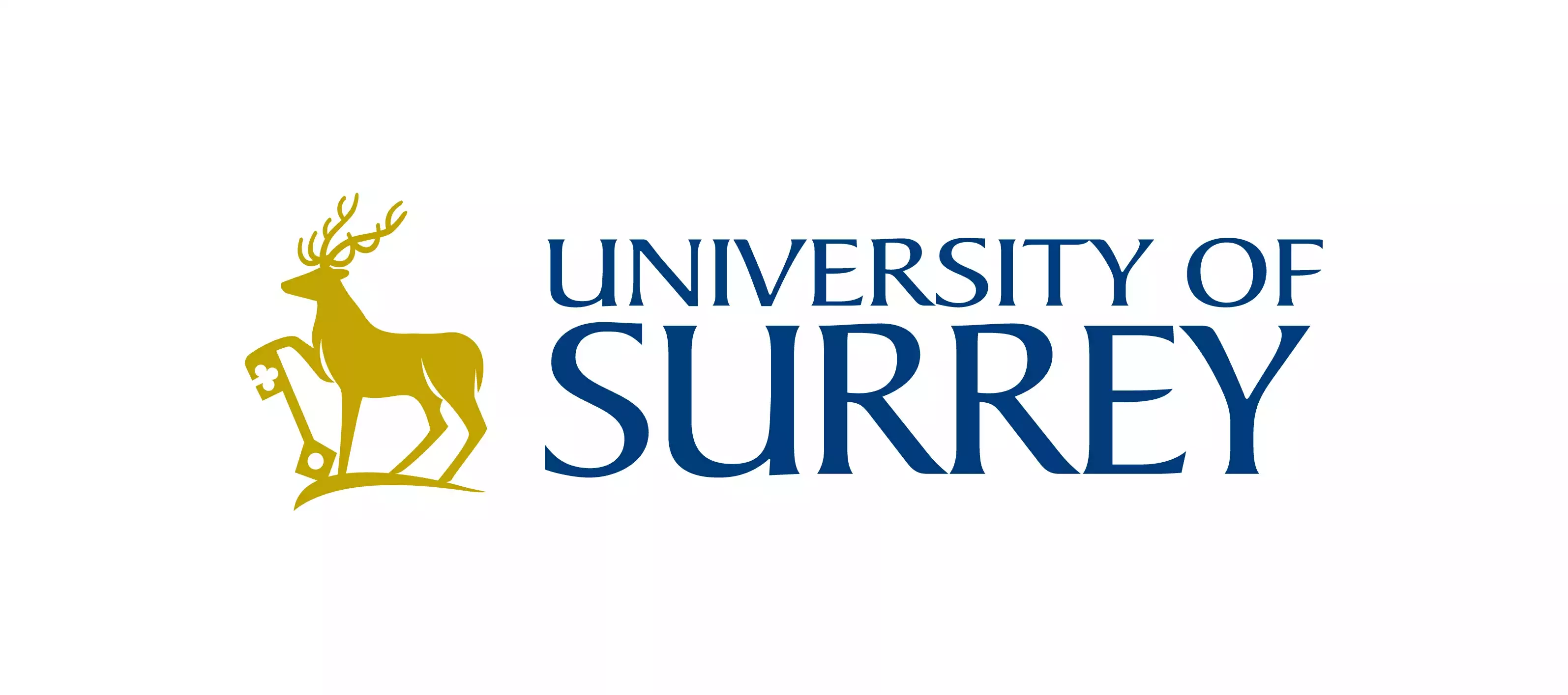 University of Surrey